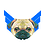 KingOfDog